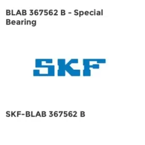 Image of BLAB 367562 B - Special Bearing