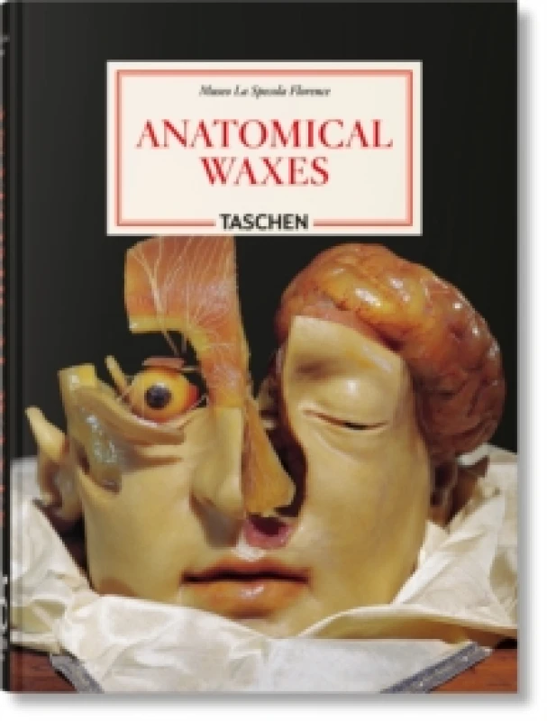 Image of Anatomical Waxes. 45th Ed. Hardback
