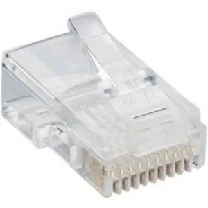 Image of Lumberg P 303 Modular Plug 10p10c RJ48 Plug straight Transparent