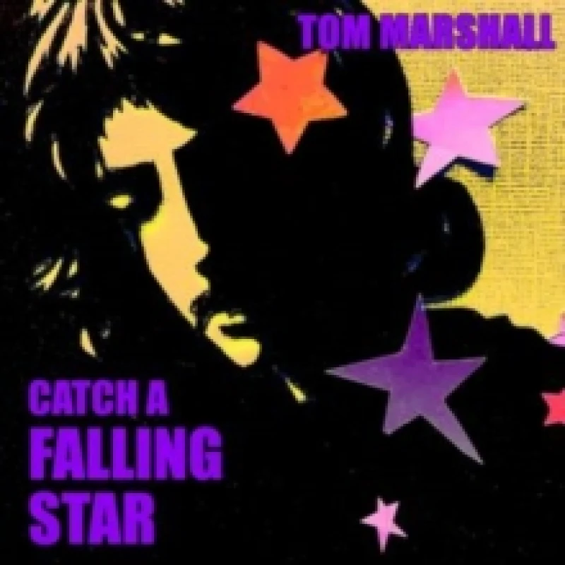 Image of Catch a Falling Star CD / Album