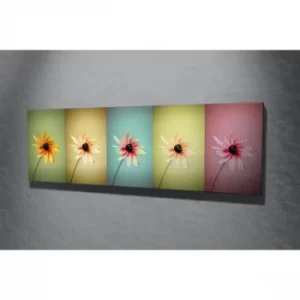 Image of PC005 Multicolor Decorative Canvas Painting