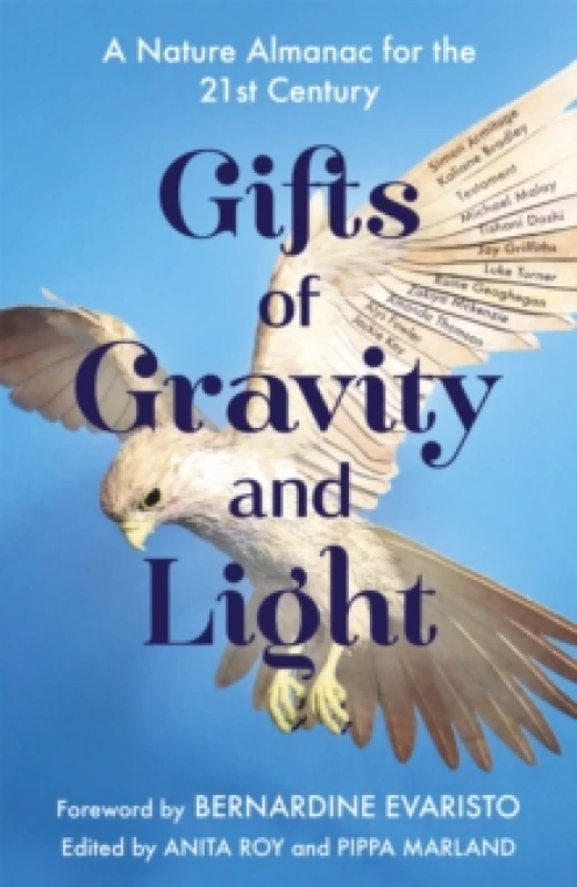 Image of Gifts of Gravity and Light Paperback / softback