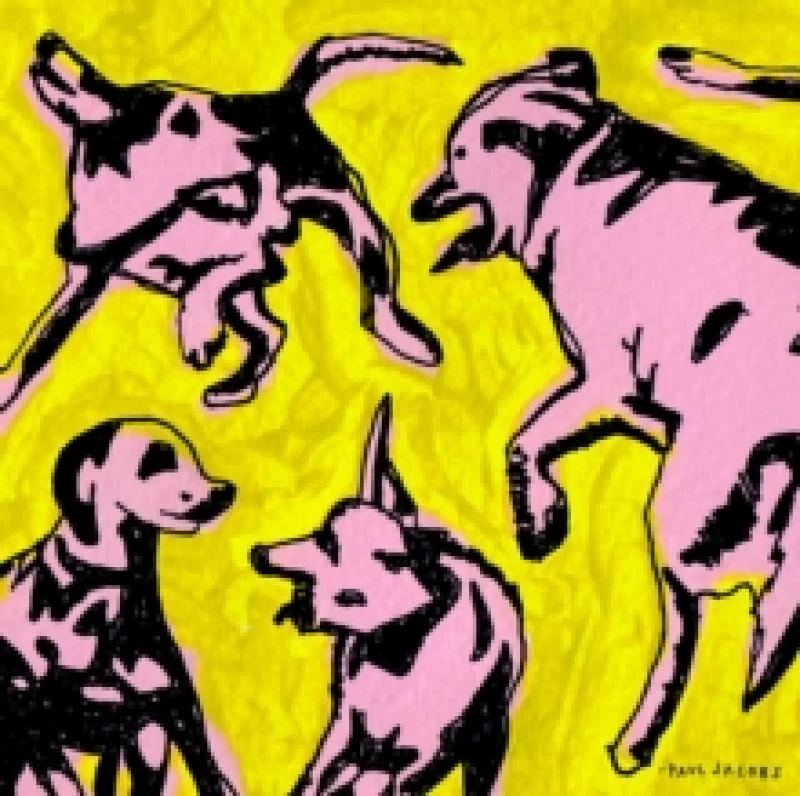 Image of Pink Dogs On the Green Grass CD / Album
