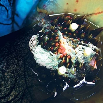 Image of Julia Reidy - In Real Life Vinyl