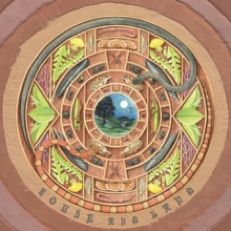 Image of House and Land Vinyl