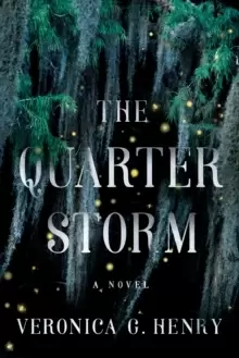 Image of The Quarter Storm : A Novel