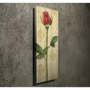 Image of PC089 Multicolor Decorative Canvas Painting