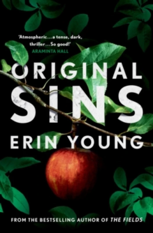 Image of Original Sins : Riley Fisher Book 2 Hardback