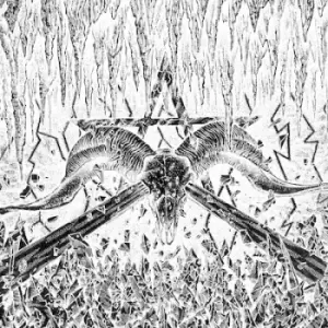 Image of Spit Forth from Chaos by Celestial Bodies CD Album