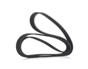 Image of RIDEX V-ribbed belt 305P0169 Serpentine belt,Auxiliary belt VW,AUDI,OPEL,Golf V Schragheck (1K1),Passat Variant (3C5),Passat Limousine (3C2)