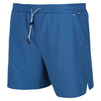 Image of Regatta Hilston Shorts - Blue