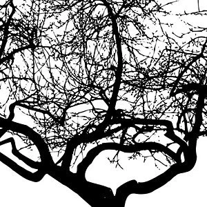 Image of ohpopsi Silhouette Wall Mural Black 14.4m L