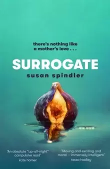 Image of Surrogate : 'An absolute belter of a page-turner [about] mother-daughter relationships, marriage and ageing' HEAT