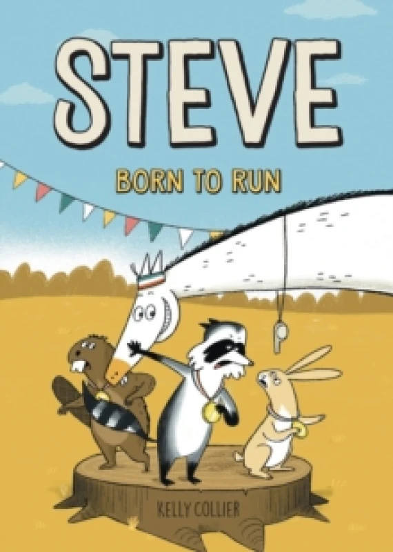 Image of Steve, Born to Run Hardback