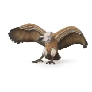 Image of PAPO Wild Animal Kingdom Vulture Toy Figure, Three Years or Above, Brown (50168)