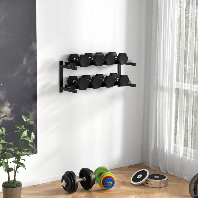 Image of SPORTNOW Wall-Mounted Dumbbell Rack, 2-Tier Steel Design, Black Unisex