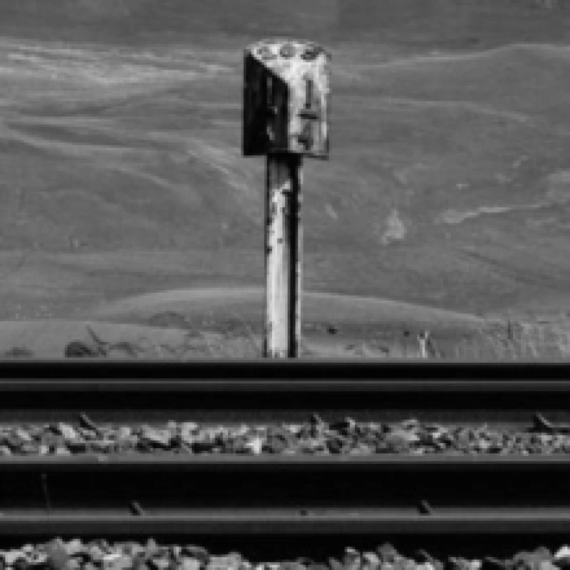 Image of Sidings Vinyl