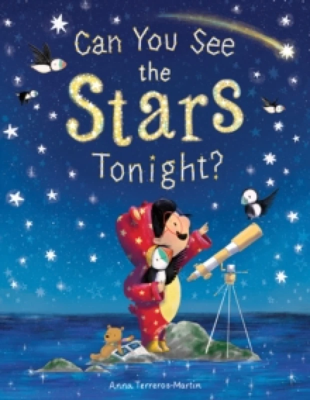 Image of Can You See the Stars Tonight? Paperback / softback