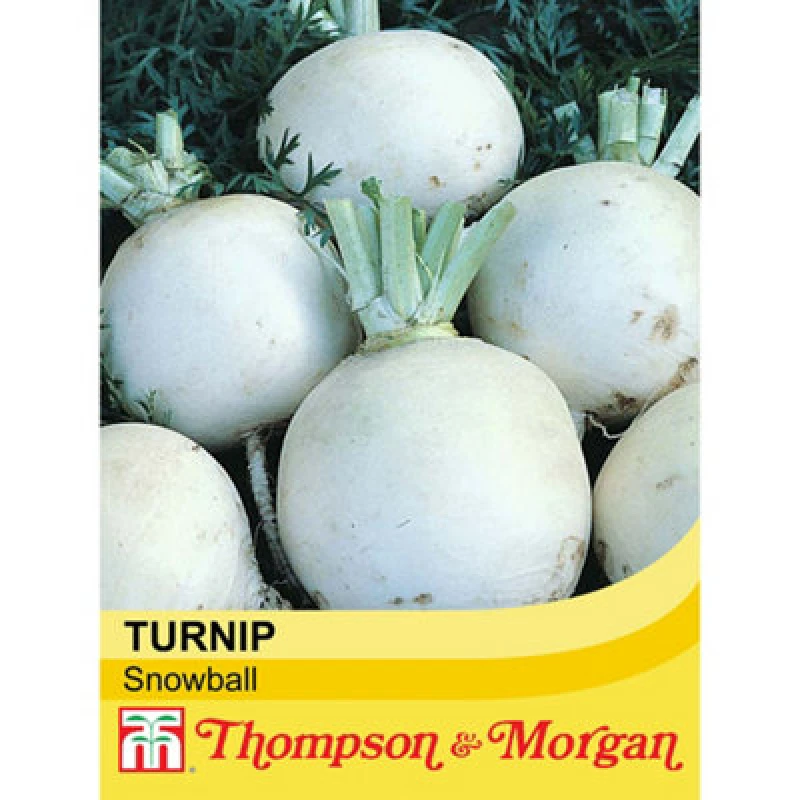 Image of Thompson & Morgan Turnip Snowball 1 Seed Packet (1000 Seeds)