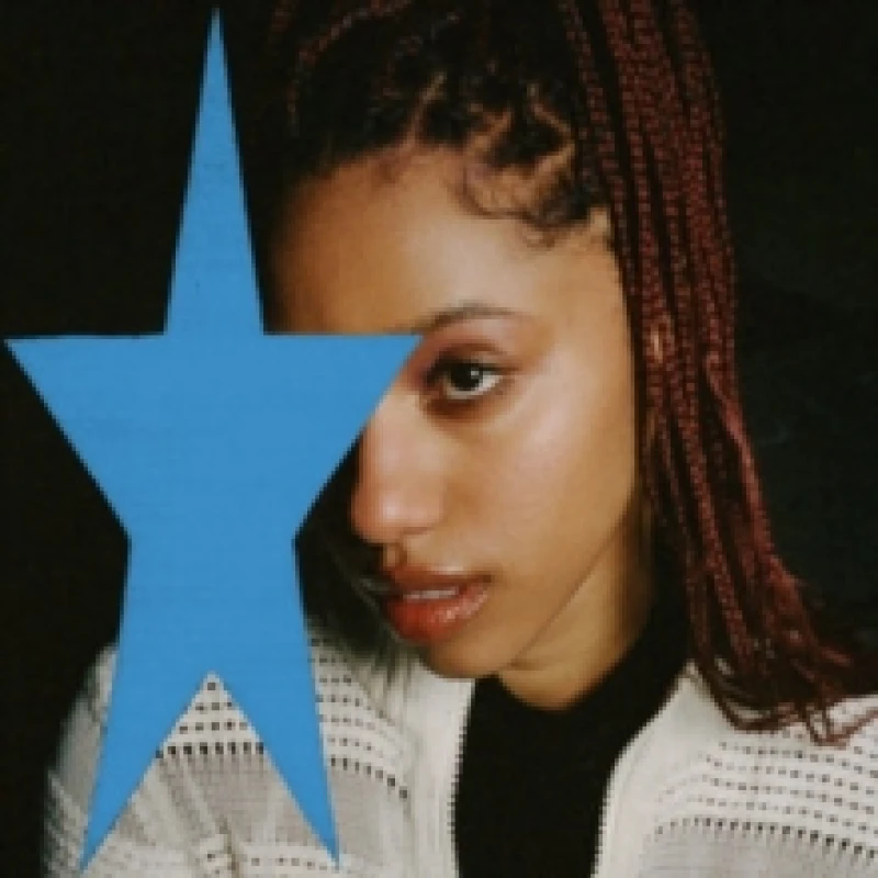 Image of Running in Waves Vinyl