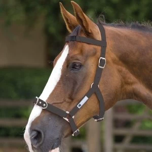 Image of Kincade Nylon Lunge Cavesson - Purple