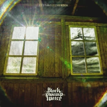 Image of Black Swamp Water - Distant Thunder Vinyl