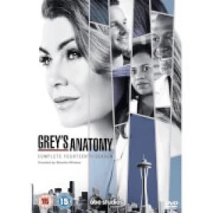 Image of Grey's Anatomy Season 14