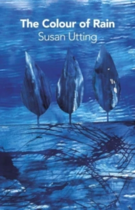 Image of The Colour of Rain Paperback / softback