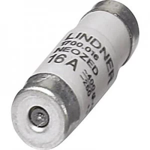 Image of Micro fuse 16 A 3