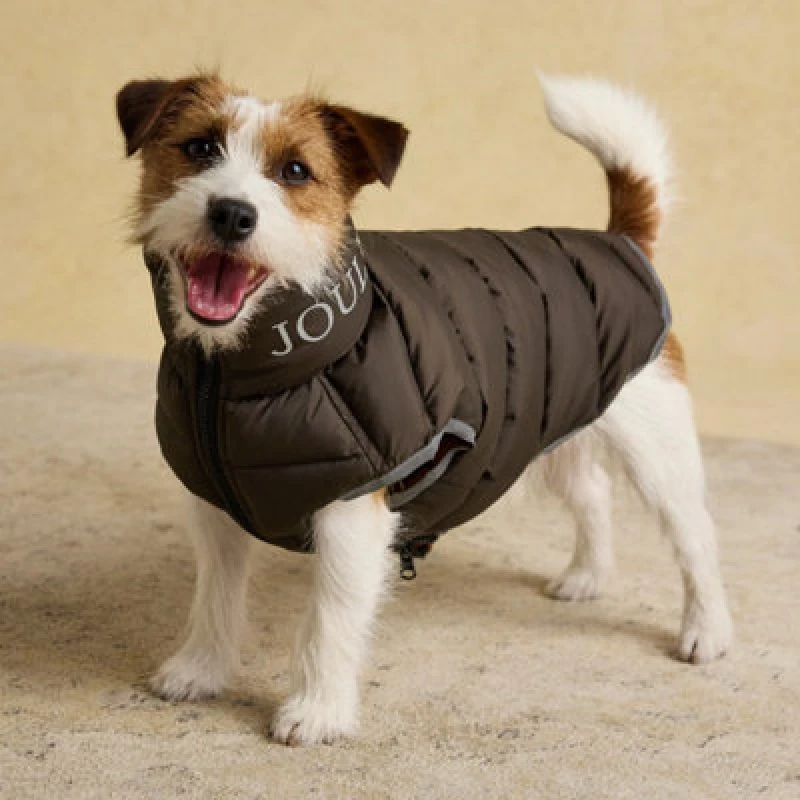 Image of Rosewood X Joules Moorsdale Ketchup Reversible Puffer Dog Coat