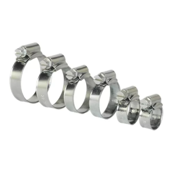 Image of Genuine SEALEY SHCS1 Hose Clip Assortment 30pc Ø8-29mm Zinc Plated