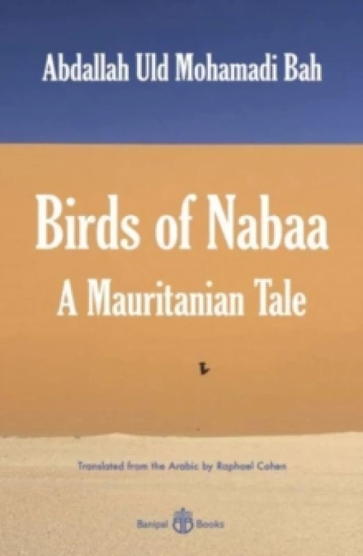 Image of Birds of Nabaa : A Mauritanian Tale Paperback / softback