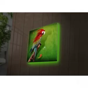 Image of 4040DACT-44 Multicolor Decorative LED Lighted Canvas Painting