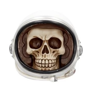 Image of First Man Skull