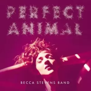 Image of Perfect Animal by Becca Stevens Band CD Album
