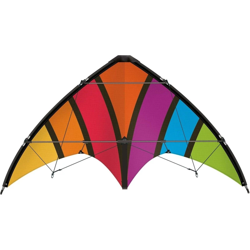 Image of Wind Designs Gunther Top Loop Kite - White White One Size
