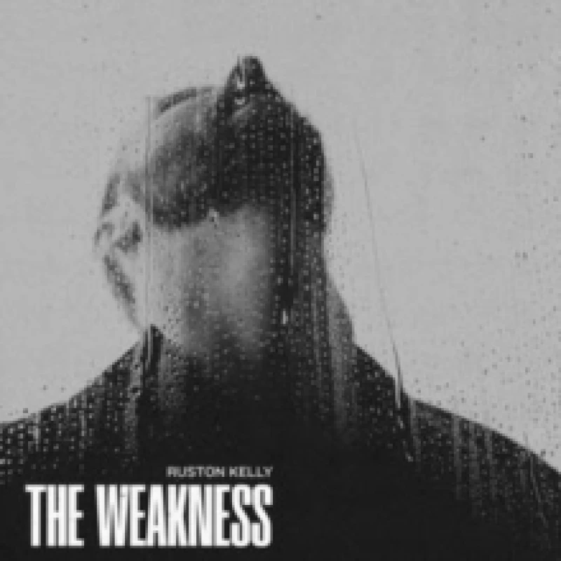 Image of The Weakness Vinyl