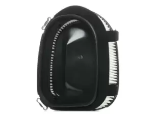 Image of RIDEX Air filter BMW 8A0276 13717811026 Engine air filter,Engine filter