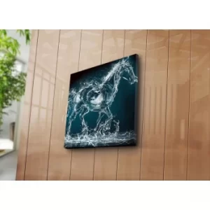 Image of 4545NAT-1 Multicolor Decorative Canvas Painting