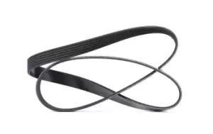 Image of DAYCO V-ribbed belt BMW,FIAT,PEUGEOT 6PK1155 11288581682,11288613707,5750GX 71749458,9623436980,5750GX,4918065G20