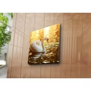Image of 4545K-46 Multicolor Decorative Canvas Painting