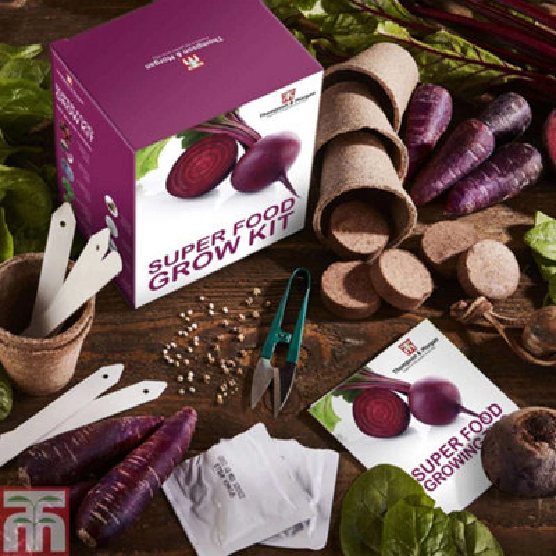 Image of Thompson & Morgan Seed Growing Kit - Super Foods