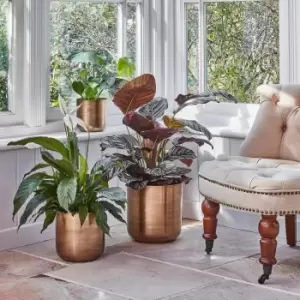 Image of Ivyline Indoor Chelsea Brass Planter - H28Cm D28Cm