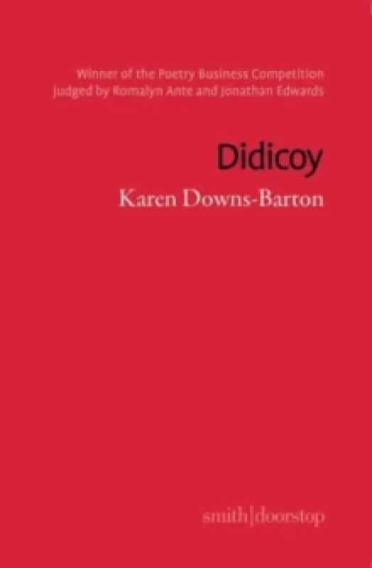 Image of Didicoy Paperback / softback