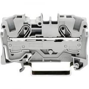 Image of Continuity 7.50 mm Pull spring Configuration N Blue