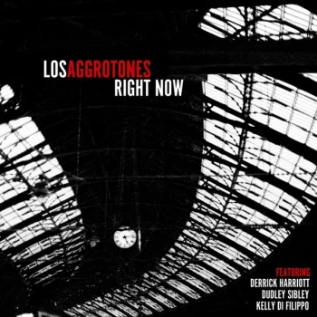 Image of Los Aggrotones - Right Now Vinyl