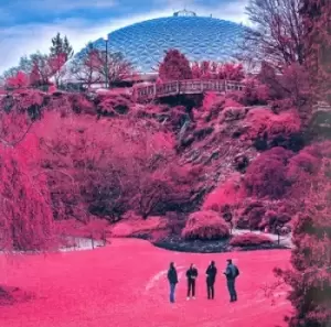 Image of Swooner by The Zolas CD Album