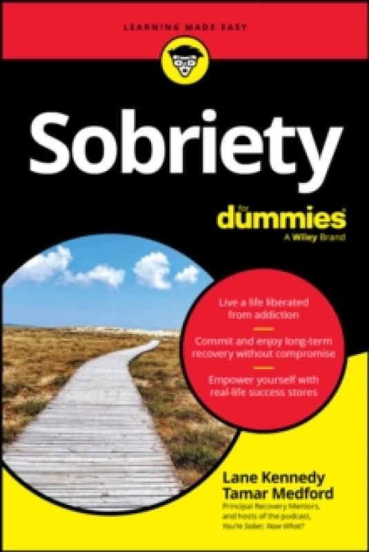 Image of Sobriety For Dummies Paperback / softback
