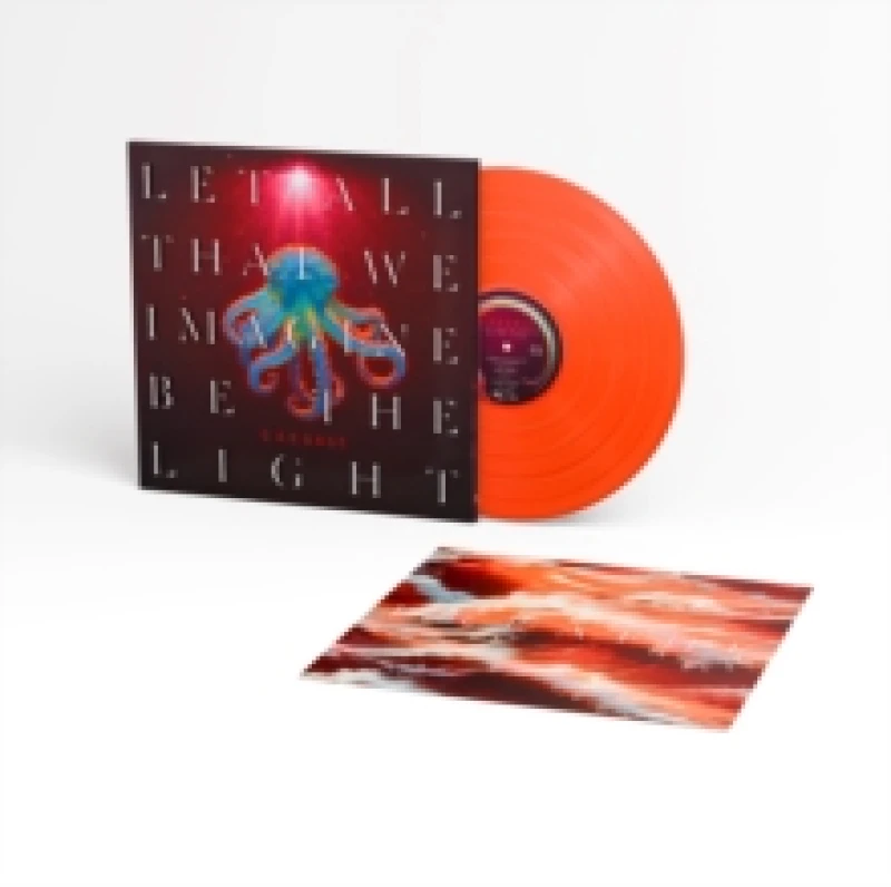 Image of Let All That We Imagine Be the Light Vinyl