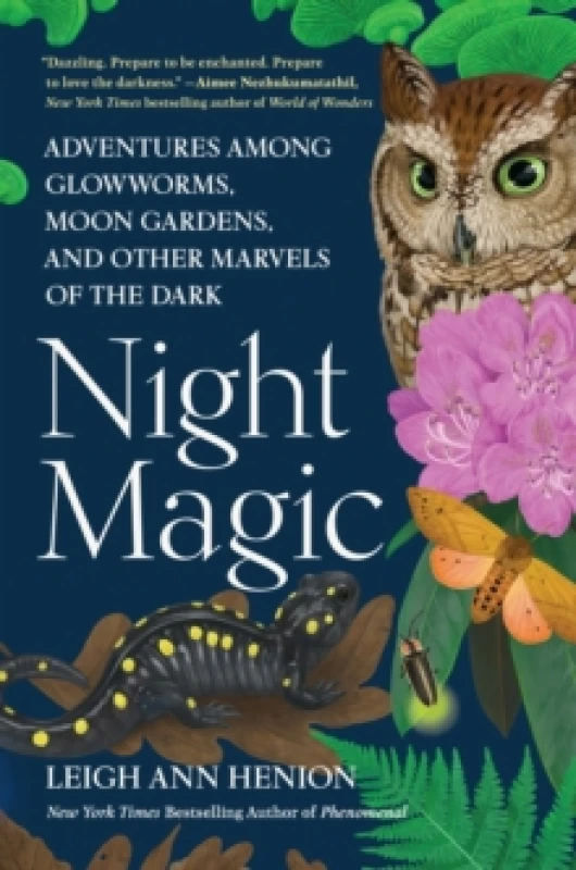 Image of Night Magic Hardback